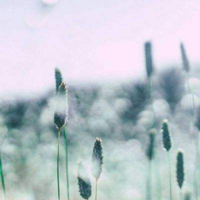 澳亚国际-登录入口