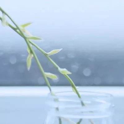 亚搏APP·官方网站截图